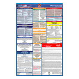 2026 Kentucky Labor Law Poster | State, Federal, OSHA in One Single Laminated Poster 2026 Kentucky Labor Law Poster | State, Federal, OSHA in One Single Laminated Poster