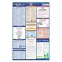 Idaho Labor Law Poster + Compliance Protection Plan™