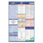 Mississippi Labor Law Poster + Compliance Protection Plan™