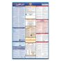South Carolina Labor Law Poster + Compliance Protection Plan™