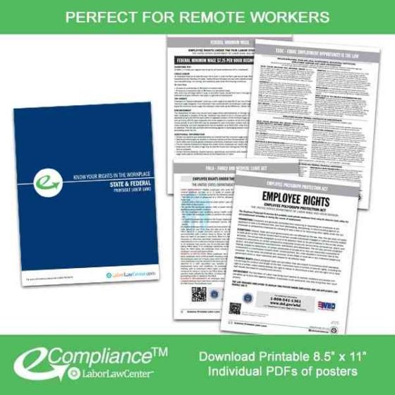 Testing Printable Labor Law Poster