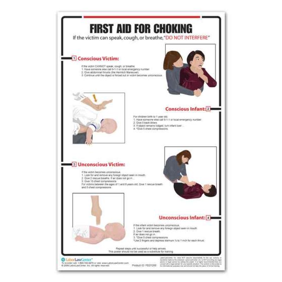 Georgia Choking Poster