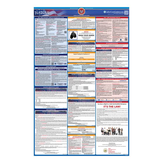 Hawaii & Federal Labor Law Posters - Spanish - Unlaminated 